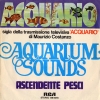 Clicca per visualizzare ACQUARIO/ASCENDENTE PESCI