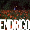 copertina di ENDRIGO 