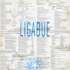 Clicca per visualizzare LIGABUE